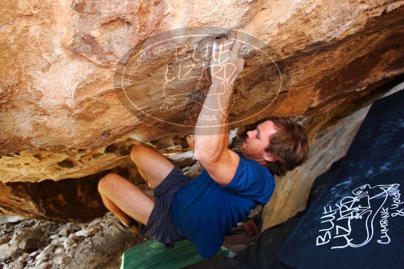 Bouldering in Hueco Tanks on 08/31/2019 with Blue Lizard Climbing and Yoga

Filename: SRM_20190831_1446360.jpg
Aperture: f/4.0
Shutter Speed: 1/80
Body: Canon EOS-1D Mark II
Lens: Canon EF 16-35mm f/2.8 L