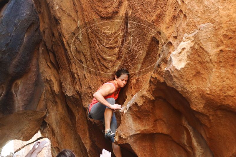 Bouldering in Hueco Tanks on 08/31/2019 with Blue Lizard Climbing and Yoga

Filename: SRM_20190831_1728090.jpg
Aperture: f/2.8
Shutter Speed: 1/250
Body: Canon EOS-1D Mark II
Lens: Canon EF 50mm f/1.8 II