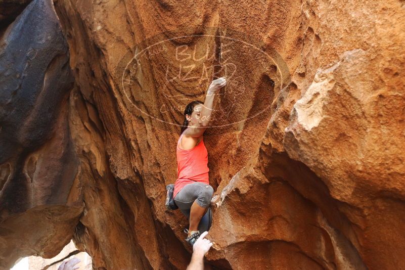 Bouldering in Hueco Tanks on 08/31/2019 with Blue Lizard Climbing and Yoga

Filename: SRM_20190831_1728160.jpg
Aperture: f/2.8
Shutter Speed: 1/250
Body: Canon EOS-1D Mark II
Lens: Canon EF 50mm f/1.8 II