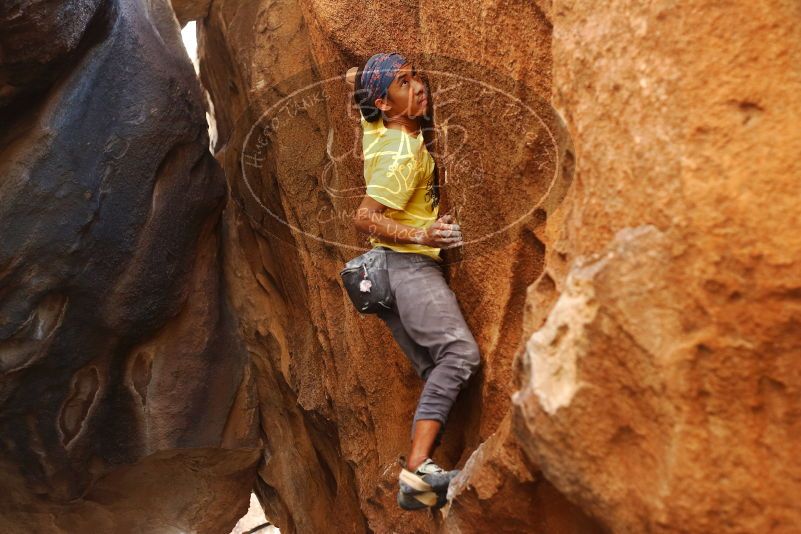 Bouldering in Hueco Tanks on 08/31/2019 with Blue Lizard Climbing and Yoga

Filename: SRM_20190831_1731240.jpg
Aperture: f/2.8
Shutter Speed: 1/320
Body: Canon EOS-1D Mark II
Lens: Canon EF 50mm f/1.8 II