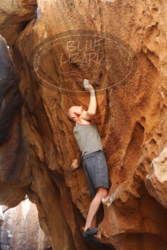 Bouldering in Hueco Tanks on 08/31/2019 with Blue Lizard Climbing and Yoga

Filename: SRM_20190831_1732530.jpg
Aperture: f/2.8
Shutter Speed: 1/320
Body: Canon EOS-1D Mark II
Lens: Canon EF 50mm f/1.8 II