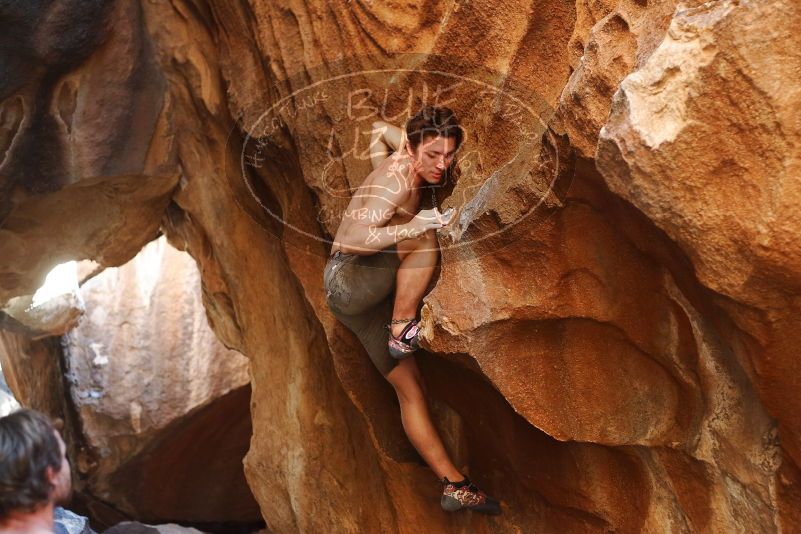 Bouldering in Hueco Tanks on 08/31/2019 with Blue Lizard Climbing and Yoga

Filename: SRM_20190831_1733440.jpg
Aperture: f/2.8
Shutter Speed: 1/250
Body: Canon EOS-1D Mark II
Lens: Canon EF 50mm f/1.8 II