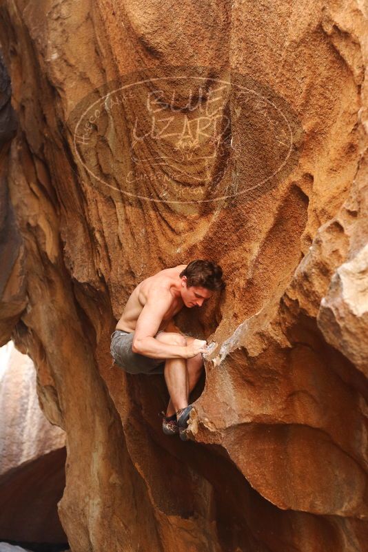 Bouldering in Hueco Tanks on 08/31/2019 with Blue Lizard Climbing and Yoga

Filename: SRM_20190831_1733460.jpg
Aperture: f/2.8
Shutter Speed: 1/250
Body: Canon EOS-1D Mark II
Lens: Canon EF 50mm f/1.8 II