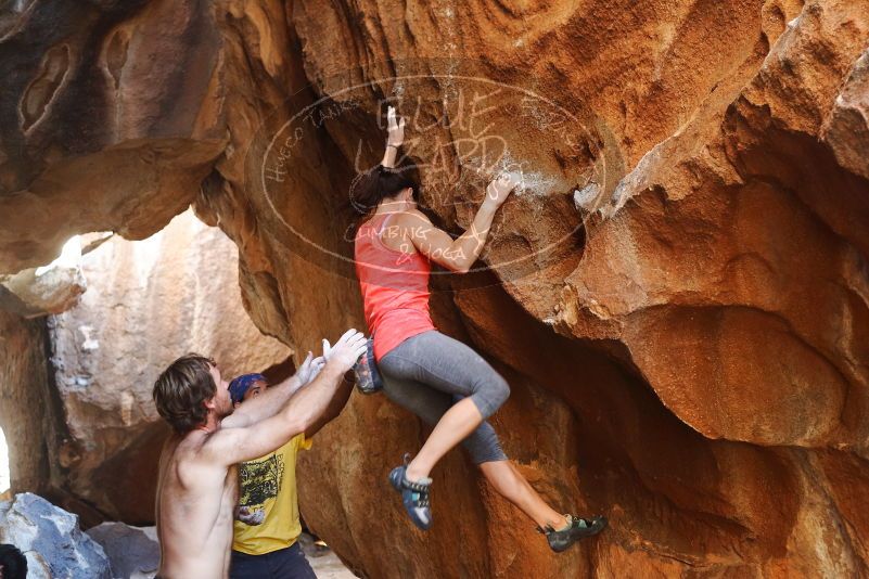 Bouldering in Hueco Tanks on 08/31/2019 with Blue Lizard Climbing and Yoga

Filename: SRM_20190831_1738560.jpg
Aperture: f/3.2
Shutter Speed: 1/200
Body: Canon EOS-1D Mark II
Lens: Canon EF 50mm f/1.8 II