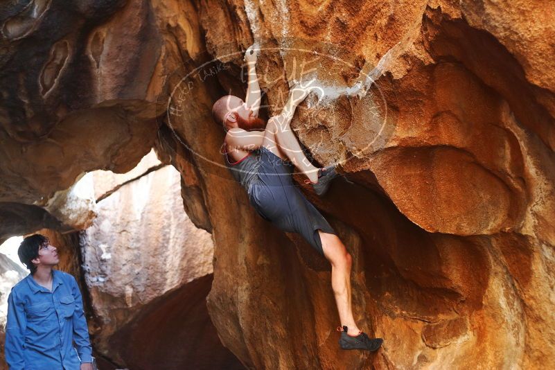 Bouldering in Hueco Tanks on 08/31/2019 with Blue Lizard Climbing and Yoga

Filename: SRM_20190831_1758330.jpg
Aperture: f/2.8
Shutter Speed: 1/200
Body: Canon EOS-1D Mark II
Lens: Canon EF 50mm f/1.8 II