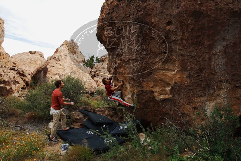 Bouldering in Hueco Tanks on 10/28/2019 with Blue Lizard Climbing and Yoga

Filename: SRM_20191028_0950050.jpg
Aperture: f/5.6
Shutter Speed: 1/320
Body: Canon EOS-1D Mark II
Lens: Canon EF 16-35mm f/2.8 L