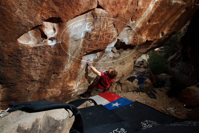 Bouldering in Hueco Tanks on 10/28/2019 with Blue Lizard Climbing and Yoga

Filename: SRM_20191028_1045410.jpg
Aperture: f/7.1
Shutter Speed: 1/250
Body: Canon EOS-1D Mark II
Lens: Canon EF 16-35mm f/2.8 L