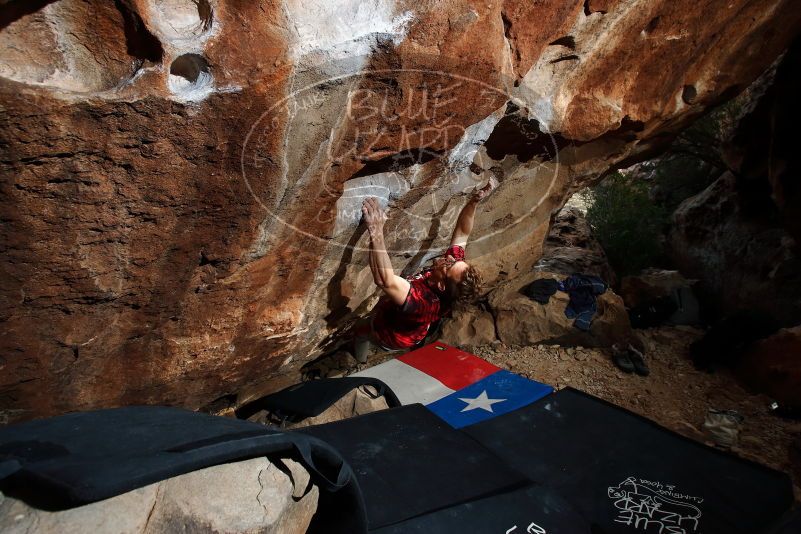 Bouldering in Hueco Tanks on 10/28/2019 with Blue Lizard Climbing and Yoga

Filename: SRM_20191028_1045460.jpg
Aperture: f/7.1
Shutter Speed: 1/250
Body: Canon EOS-1D Mark II
Lens: Canon EF 16-35mm f/2.8 L