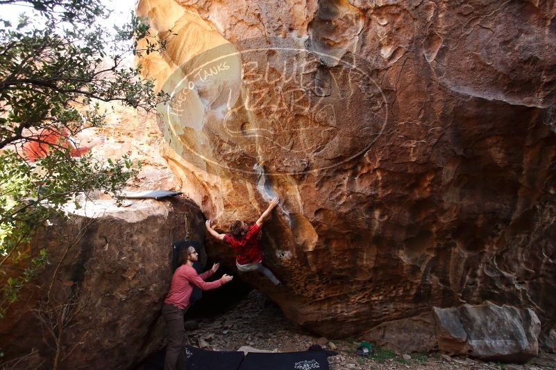 Bouldering in Hueco Tanks on 10/28/2019 with Blue Lizard Climbing and Yoga

Filename: SRM_20191028_1445460.jpg
Aperture: f/4.5
Shutter Speed: 1/250
Body: Canon EOS-1D Mark II
Lens: Canon EF 16-35mm f/2.8 L