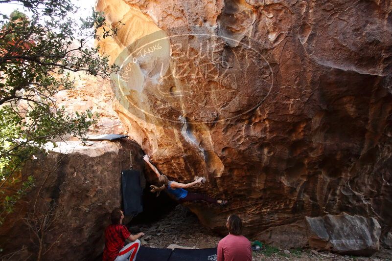 Bouldering in Hueco Tanks on 10/28/2019 with Blue Lizard Climbing and Yoga

Filename: SRM_20191028_1447050.jpg
Aperture: f/4.5
Shutter Speed: 1/250
Body: Canon EOS-1D Mark II
Lens: Canon EF 16-35mm f/2.8 L