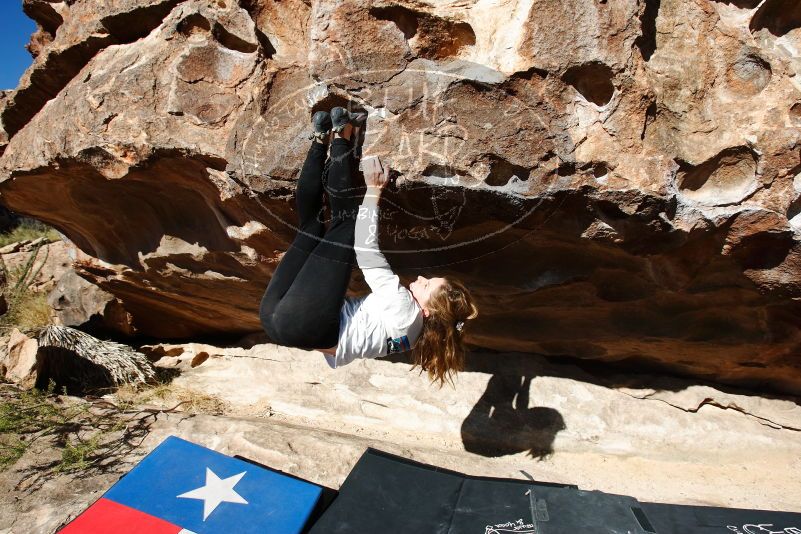Bouldering in Hueco Tanks on 10/26/2019 with Blue Lizard Climbing and Yoga

Filename: SRM_20191026_1028020.jpg
Aperture: f/5.6
Shutter Speed: 1/800
Body: Canon EOS-1D Mark II
Lens: Canon EF 16-35mm f/2.8 L