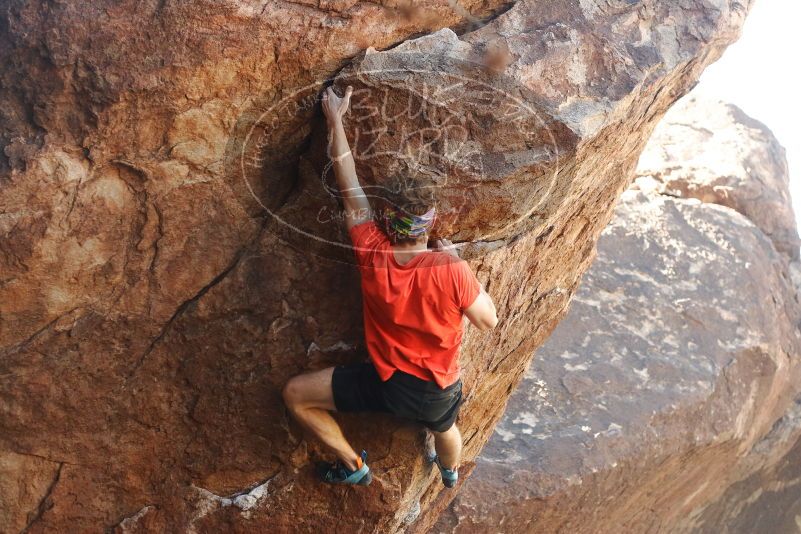 Bouldering in Hueco Tanks on 10/26/2019 with Blue Lizard Climbing and Yoga

Filename: SRM_20191026_1055320.jpg
Aperture: f/4.0
Shutter Speed: 1/400
Body: Canon EOS-1D Mark II
Lens: Canon EF 50mm f/1.8 II