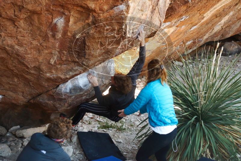 Bouldering in Hueco Tanks on 10/26/2019 with Blue Lizard Climbing and Yoga

Filename: SRM_20191026_1059250.jpg
Aperture: f/4.0
Shutter Speed: 1/320
Body: Canon EOS-1D Mark II
Lens: Canon EF 50mm f/1.8 II