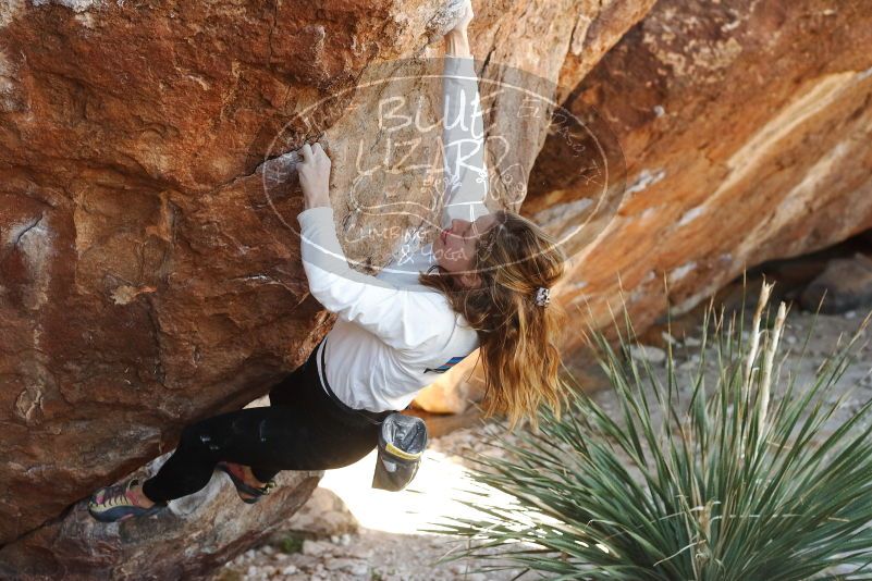 Bouldering in Hueco Tanks on 10/26/2019 with Blue Lizard Climbing and Yoga

Filename: SRM_20191026_1107460.jpg
Aperture: f/4.0
Shutter Speed: 1/400
Body: Canon EOS-1D Mark II
Lens: Canon EF 50mm f/1.8 II