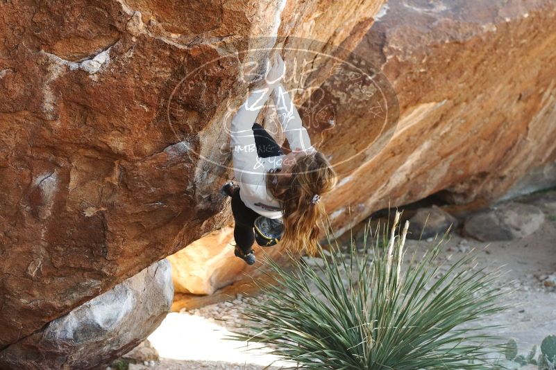 Bouldering in Hueco Tanks on 10/26/2019 with Blue Lizard Climbing and Yoga

Filename: SRM_20191026_1107490.jpg
Aperture: f/4.0
Shutter Speed: 1/250
Body: Canon EOS-1D Mark II
Lens: Canon EF 50mm f/1.8 II