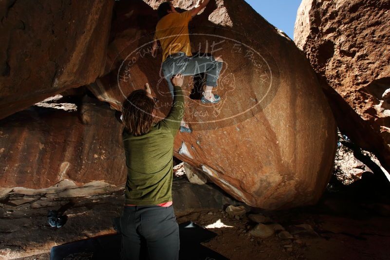 Bouldering in Hueco Tanks on 10/29/2019 with Blue Lizard Climbing and Yoga

Filename: SRM_20191029_1344280.jpg
Aperture: f/8.0
Shutter Speed: 1/250
Body: Canon EOS-1D Mark II
Lens: Canon EF 16-35mm f/2.8 L