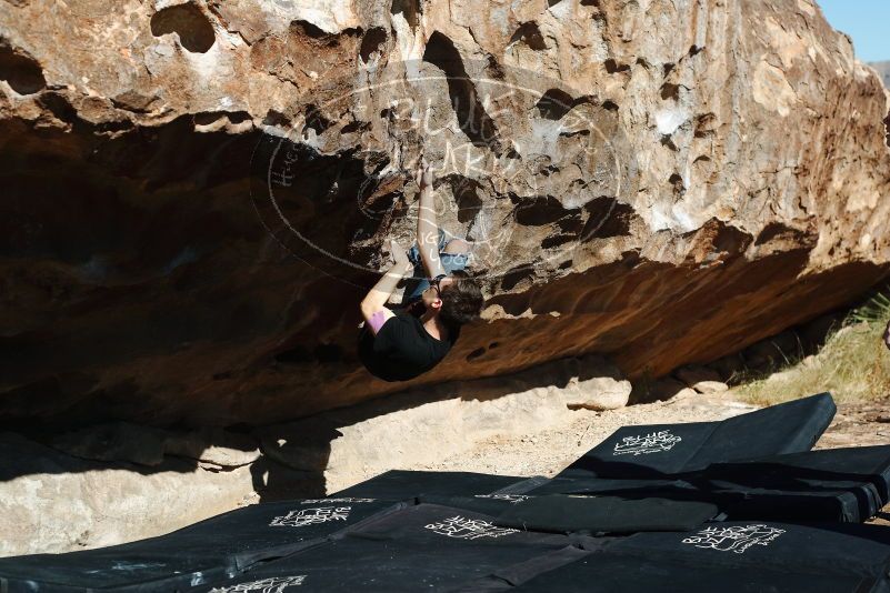 Bouldering in Hueco Tanks on 11/09/2019 with Blue Lizard Climbing and Yoga

Filename: SRM_20191109_1106540.jpg
Aperture: f/4.5
Shutter Speed: 1/1000
Body: Canon EOS-1D Mark II
Lens: Canon EF 50mm f/1.8 II