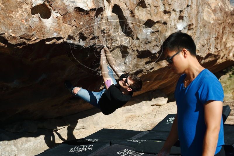 Bouldering in Hueco Tanks on 11/09/2019 with Blue Lizard Climbing and Yoga

Filename: SRM_20191109_1113220.jpg
Aperture: f/4.0
Shutter Speed: 1/1600
Body: Canon EOS-1D Mark II
Lens: Canon EF 50mm f/1.8 II