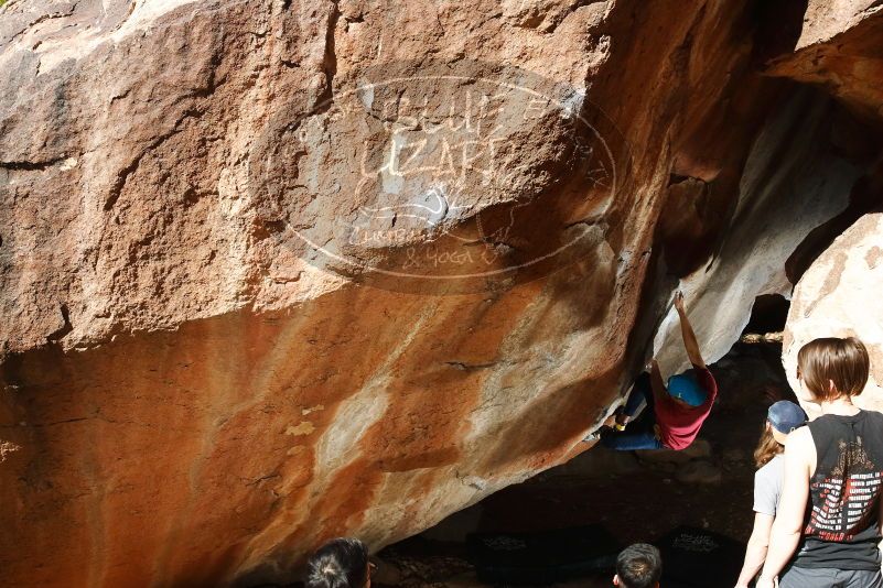 Bouldering in Hueco Tanks on 11/09/2019 with Blue Lizard Climbing and Yoga

Filename: SRM_20191109_1210090.jpg
Aperture: f/8.0
Shutter Speed: 1/250
Body: Canon EOS-1D Mark II
Lens: Canon EF 16-35mm f/2.8 L