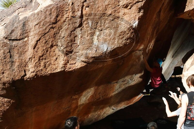 Bouldering in Hueco Tanks on 11/09/2019 with Blue Lizard Climbing and Yoga

Filename: SRM_20191109_1210230.jpg
Aperture: f/8.0
Shutter Speed: 1/250
Body: Canon EOS-1D Mark II
Lens: Canon EF 16-35mm f/2.8 L
