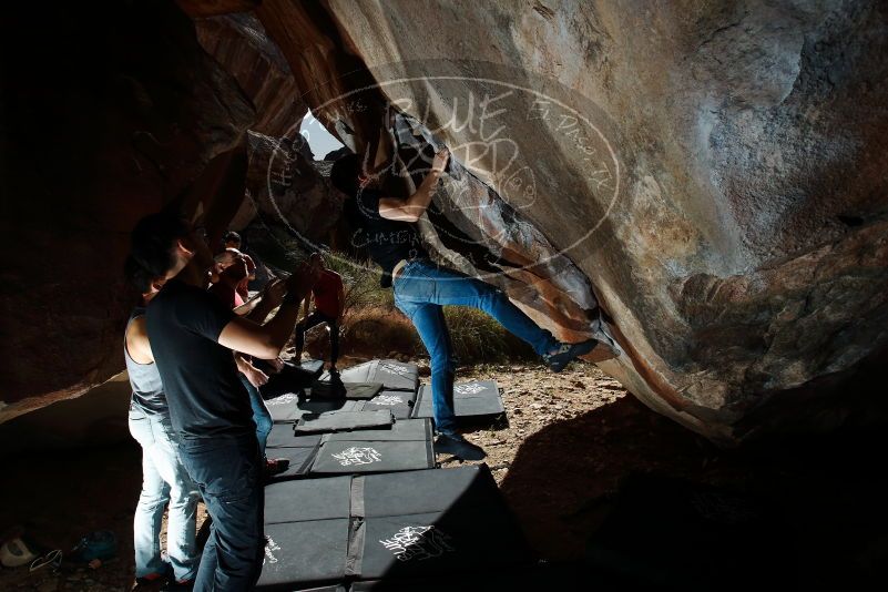 Bouldering in Hueco Tanks on 11/09/2019 with Blue Lizard Climbing and Yoga

Filename: SRM_20191109_1217590.jpg
Aperture: f/8.0
Shutter Speed: 1/250
Body: Canon EOS-1D Mark II
Lens: Canon EF 16-35mm f/2.8 L