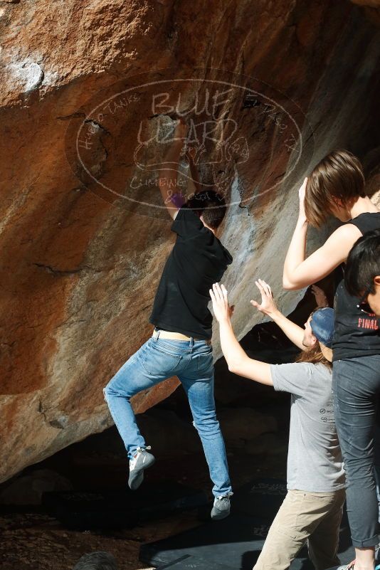 Bouldering in Hueco Tanks on 11/09/2019 with Blue Lizard Climbing and Yoga

Filename: SRM_20191109_1227560.jpg
Aperture: f/8.0
Shutter Speed: 1/250
Body: Canon EOS-1D Mark II
Lens: Canon EF 50mm f/1.8 II