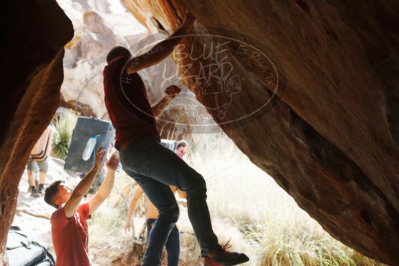 Bouldering in Hueco Tanks on 11/09/2019 with Blue Lizard Climbing and Yoga

Filename: SRM_20191109_1253430.jpg
Aperture: f/4.0
Shutter Speed: 1/400
Body: Canon EOS-1D Mark II
Lens: Canon EF 50mm f/1.8 II