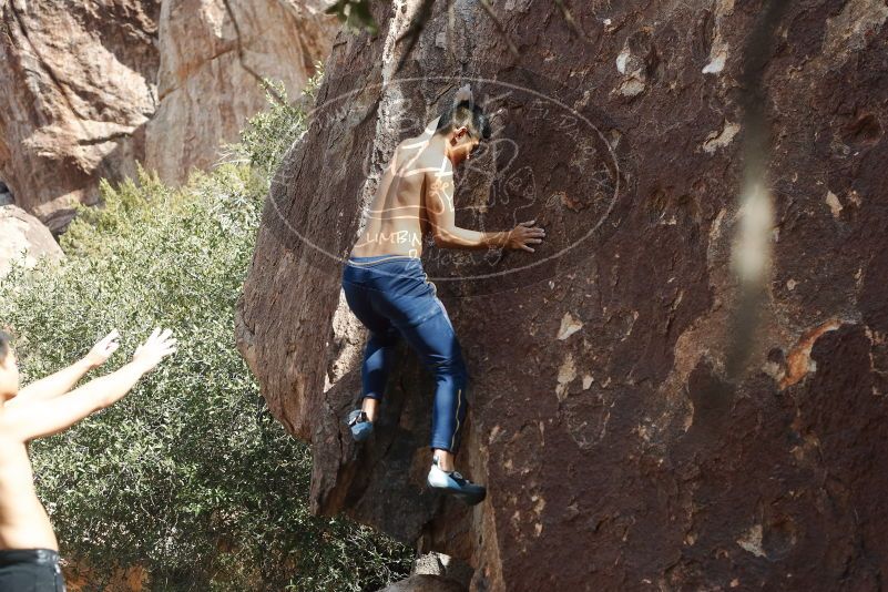Bouldering in Hueco Tanks on 11/09/2019 with Blue Lizard Climbing and Yoga

Filename: SRM_20191109_1305150.jpg
Aperture: f/4.0
Shutter Speed: 1/800
Body: Canon EOS-1D Mark II
Lens: Canon EF 50mm f/1.8 II