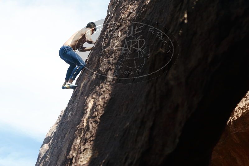 Bouldering in Hueco Tanks on 11/09/2019 with Blue Lizard Climbing and Yoga

Filename: SRM_20191109_1313550.jpg
Aperture: f/4.0
Shutter Speed: 1/500
Body: Canon EOS-1D Mark II
Lens: Canon EF 50mm f/1.8 II