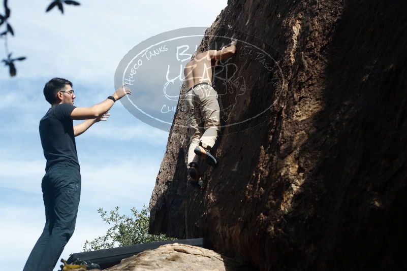 Bouldering in Hueco Tanks on 11/09/2019 with Blue Lizard Climbing and Yoga

Filename: SRM_20191109_1317080.jpg
Aperture: f/4.0
Shutter Speed: 1/1000
Body: Canon EOS-1D Mark II
Lens: Canon EF 50mm f/1.8 II