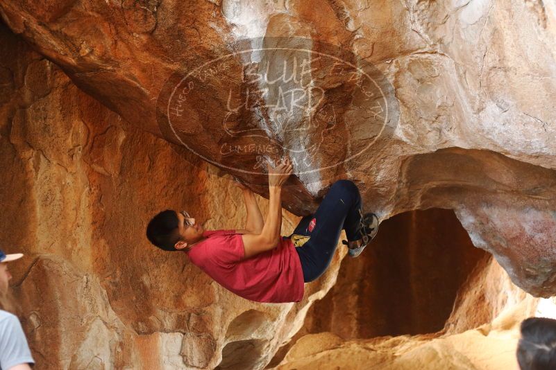 Bouldering in Hueco Tanks on 11/09/2019 with Blue Lizard Climbing and Yoga

Filename: SRM_20191109_1344160.jpg
Aperture: f/2.8
Shutter Speed: 1/320
Body: Canon EOS-1D Mark II
Lens: Canon EF 50mm f/1.8 II