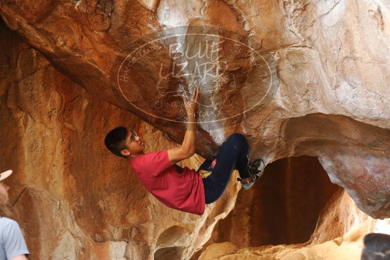 Bouldering in Hueco Tanks on 11/09/2019 with Blue Lizard Climbing and Yoga

Filename: SRM_20191109_1344161.jpg
Aperture: f/2.8
Shutter Speed: 1/320
Body: Canon EOS-1D Mark II
Lens: Canon EF 50mm f/1.8 II