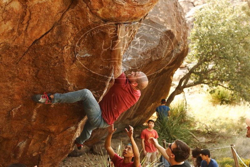 Bouldering in Hueco Tanks on 11/09/2019 with Blue Lizard Climbing and Yoga

Filename: SRM_20191109_1436050.jpg
Aperture: f/4.0
Shutter Speed: 1/320
Body: Canon EOS-1D Mark II
Lens: Canon EF 50mm f/1.8 II