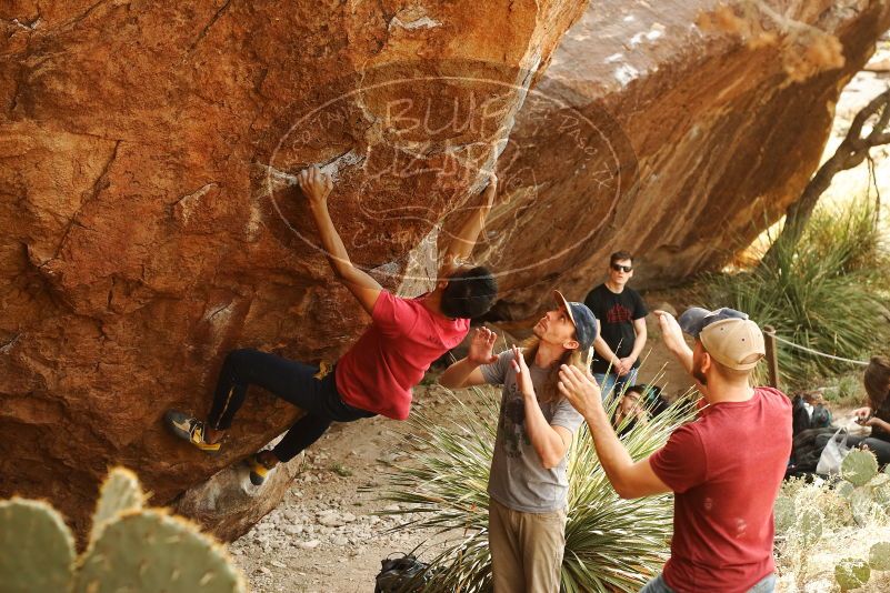 Bouldering in Hueco Tanks on 11/09/2019 with Blue Lizard Climbing and Yoga

Filename: SRM_20191109_1441110.jpg
Aperture: f/4.0
Shutter Speed: 1/250
Body: Canon EOS-1D Mark II
Lens: Canon EF 50mm f/1.8 II