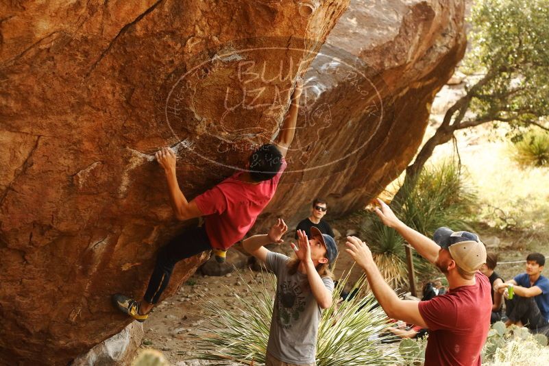 Bouldering in Hueco Tanks on 11/09/2019 with Blue Lizard Climbing and Yoga

Filename: SRM_20191109_1441190.jpg
Aperture: f/4.0
Shutter Speed: 1/320
Body: Canon EOS-1D Mark II
Lens: Canon EF 50mm f/1.8 II