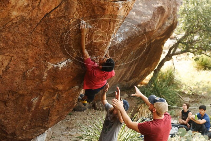 Bouldering in Hueco Tanks on 11/09/2019 with Blue Lizard Climbing and Yoga

Filename: SRM_20191109_1442210.jpg
Aperture: f/4.0
Shutter Speed: 1/250
Body: Canon EOS-1D Mark II
Lens: Canon EF 50mm f/1.8 II