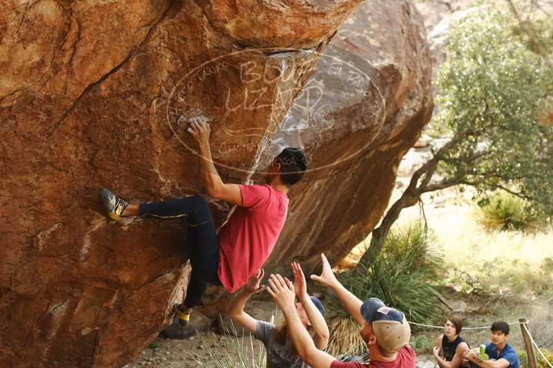 Bouldering in Hueco Tanks on 11/09/2019 with Blue Lizard Climbing and Yoga

Filename: SRM_20191109_1442250.jpg
Aperture: f/4.0
Shutter Speed: 1/320
Body: Canon EOS-1D Mark II
Lens: Canon EF 50mm f/1.8 II