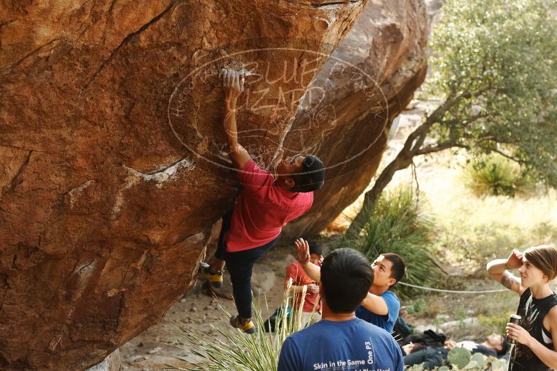 Bouldering in Hueco Tanks on 11/09/2019 with Blue Lizard Climbing and Yoga

Filename: SRM_20191109_1502240.jpg
Aperture: f/4.0
Shutter Speed: 1/250
Body: Canon EOS-1D Mark II
Lens: Canon EF 50mm f/1.8 II