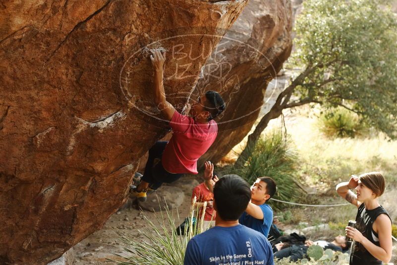 Bouldering in Hueco Tanks on 11/09/2019 with Blue Lizard Climbing and Yoga

Filename: SRM_20191109_1502241.jpg
Aperture: f/4.0
Shutter Speed: 1/320
Body: Canon EOS-1D Mark II
Lens: Canon EF 50mm f/1.8 II