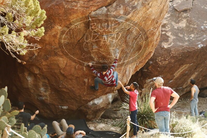 Bouldering in Hueco Tanks on 11/09/2019 with Blue Lizard Climbing and Yoga

Filename: SRM_20191109_1515150.jpg
Aperture: f/4.0
Shutter Speed: 1/400
Body: Canon EOS-1D Mark II
Lens: Canon EF 50mm f/1.8 II