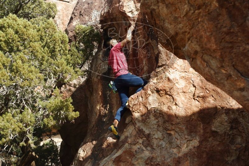 Bouldering in Hueco Tanks on 11/09/2019 with Blue Lizard Climbing and Yoga

Filename: SRM_20191109_1522590.jpg
Aperture: f/4.0
Shutter Speed: 1/1000
Body: Canon EOS-1D Mark II
Lens: Canon EF 50mm f/1.8 II