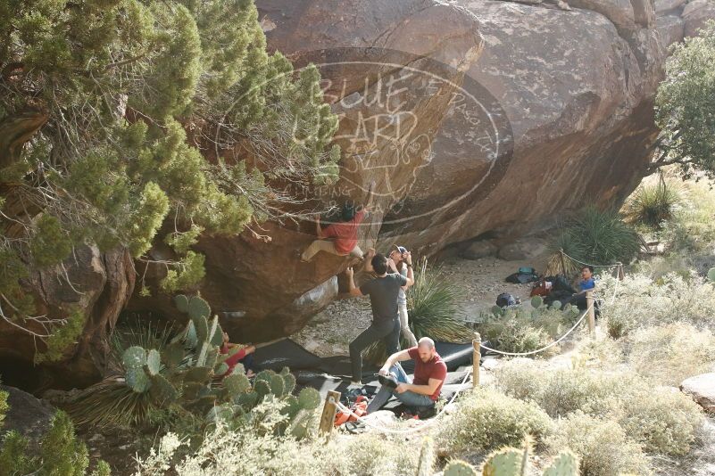 Bouldering in Hueco Tanks on 11/09/2019 with Blue Lizard Climbing and Yoga

Filename: SRM_20191109_1535390.jpg
Aperture: f/5.6
Shutter Speed: 1/640
Body: Canon EOS-1D Mark II
Lens: Canon EF 16-35mm f/2.8 L