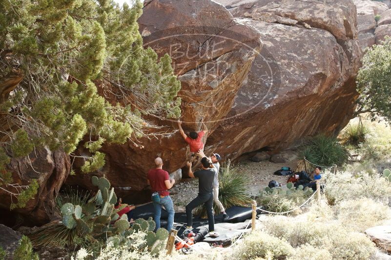 Bouldering in Hueco Tanks on 11/09/2019 with Blue Lizard Climbing and Yoga

Filename: SRM_20191109_1535490.jpg
Aperture: f/5.6
Shutter Speed: 1/500
Body: Canon EOS-1D Mark II
Lens: Canon EF 16-35mm f/2.8 L