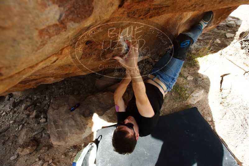 Bouldering in Hueco Tanks on 11/09/2019 with Blue Lizard Climbing and Yoga

Filename: SRM_20191109_1536130.jpg
Aperture: f/5.6
Shutter Speed: 1/320
Body: Canon EOS-1D Mark II
Lens: Canon EF 16-35mm f/2.8 L