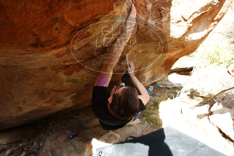 Bouldering in Hueco Tanks on 11/09/2019 with Blue Lizard Climbing and Yoga

Filename: SRM_20191109_1538020.jpg
Aperture: f/5.6
Shutter Speed: 1/320
Body: Canon EOS-1D Mark II
Lens: Canon EF 16-35mm f/2.8 L