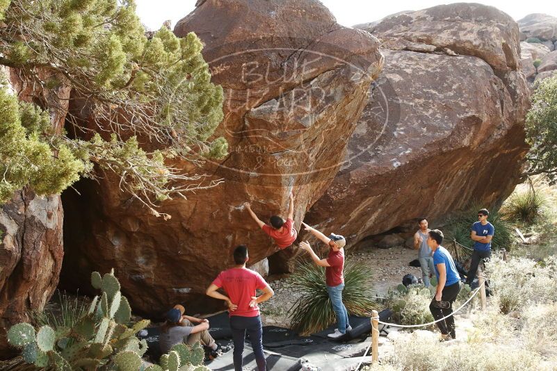 Bouldering in Hueco Tanks on 11/09/2019 with Blue Lizard Climbing and Yoga

Filename: SRM_20191109_1556130.jpg
Aperture: f/5.6
Shutter Speed: 1/400
Body: Canon EOS-1D Mark II
Lens: Canon EF 16-35mm f/2.8 L