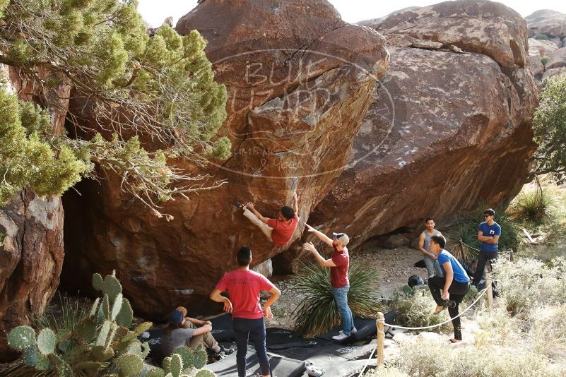 Bouldering in Hueco Tanks on 11/09/2019 with Blue Lizard Climbing and Yoga

Filename: SRM_20191109_1556140.jpg
Aperture: f/5.6
Shutter Speed: 1/400
Body: Canon EOS-1D Mark II
Lens: Canon EF 16-35mm f/2.8 L