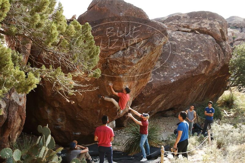 Bouldering in Hueco Tanks on 11/09/2019 with Blue Lizard Climbing and Yoga

Filename: SRM_20191109_1556240.jpg
Aperture: f/5.6
Shutter Speed: 1/500
Body: Canon EOS-1D Mark II
Lens: Canon EF 16-35mm f/2.8 L