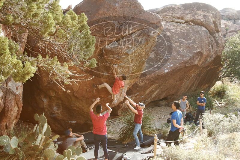 Bouldering in Hueco Tanks on 11/09/2019 with Blue Lizard Climbing and Yoga

Filename: SRM_20191109_1556310.jpg
Aperture: f/5.6
Shutter Speed: 1/500
Body: Canon EOS-1D Mark II
Lens: Canon EF 16-35mm f/2.8 L
