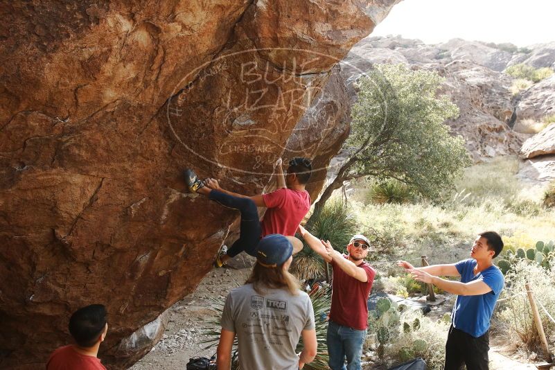 Bouldering in Hueco Tanks on 11/09/2019 with Blue Lizard Climbing and Yoga

Filename: SRM_20191109_1559050.jpg
Aperture: f/5.6
Shutter Speed: 1/400
Body: Canon EOS-1D Mark II
Lens: Canon EF 16-35mm f/2.8 L
